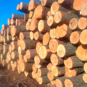 Alder Round Logs