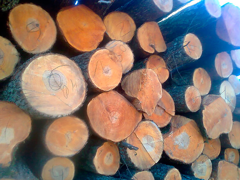 Alder Round Logs