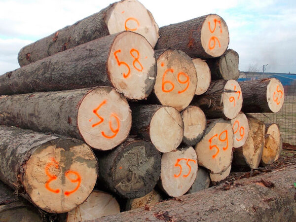 Spruce Round Logs