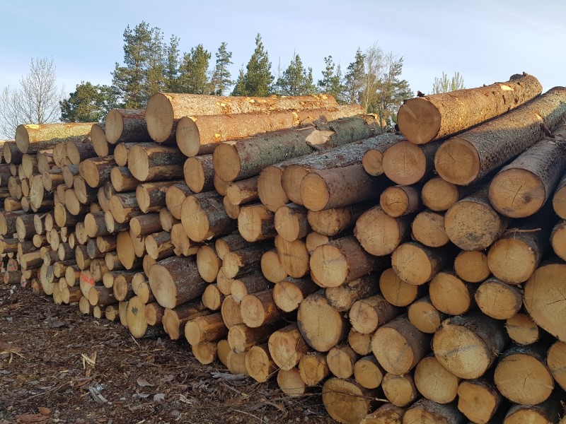 Spruce Round Logs